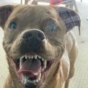 Meet your Posher, Brandee